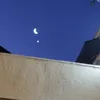 donnaalves2