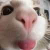 taylorocean_05