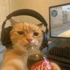 gggdwegcaqwlqjsahg