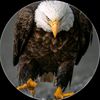 uzbe54