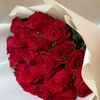 user3709351600734