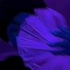 music_space34