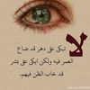 user1114044473378