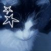 kf_nillystar