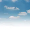 kenji50sai