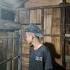 levinjebarus
