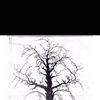 user60107008660520