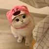 heheboy_baby