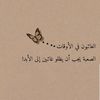 user96378394877615