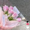 angelnur587
