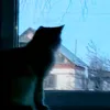 xian_lan_krov