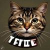 catdncing6