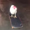 imabadguy42