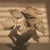 zaiba_0992