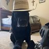 thatgroper2