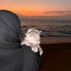 maryamhamdy61