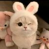 san3gabut2