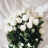 irmmi_28