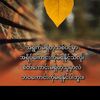 kosoegyiuse6