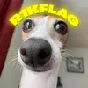 r1kflagttv