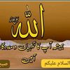 waqas.phalwan