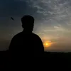 dlilgh1711