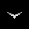 Circulo FENIX