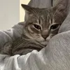 miiira_20