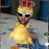 lizalise.apleni0
