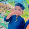 user086328160