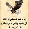 user99062618369842
