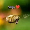 andreii_13375