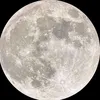taigasmoon