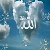 user3308751240353
