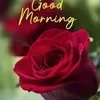 latifa8721