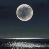 lunariaobscura