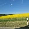 peacefull20800