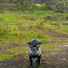 s_vario