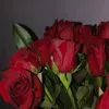 melanieschmidt181