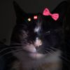 priya.g0t.n0thng.t0.lose