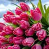 user616112105281