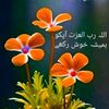 qasim786144