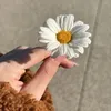 hidbdin.jthlvkyc