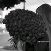 haneenashraf780064
