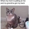 nobodyhahfhthfnfnf