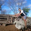 luis.henrique.ara0