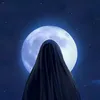 zn___313_
