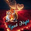 user3108741824616
