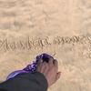 mandem_money24
