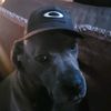 crazyheathen10